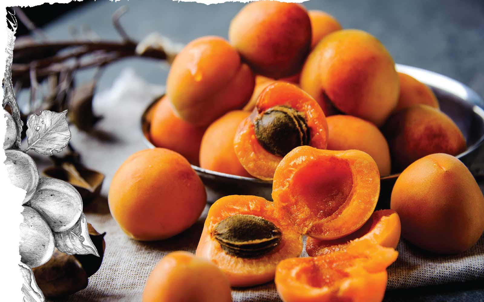 Mountain of apricots on table, some are cut in half showing the pit. With a decorative border.