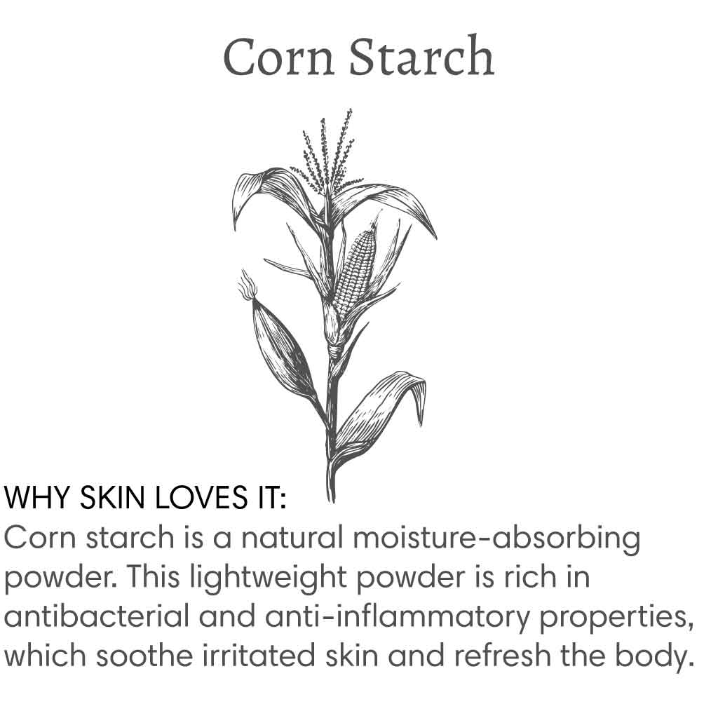 Title reads "Corn Starch", with image of a stalk of corn followed by text that reads "Why skin loves it: Corn starch is a natural moisture-absorbing powder. This lightweight powder is rich in antibacterial and anti-inflammatory properties, which soothe irritated skin and refresh the body.".