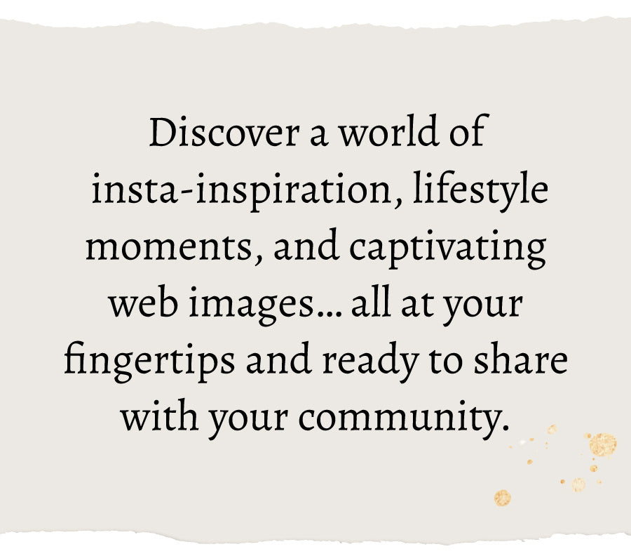 Banner with beige background reads 'Discover a world of insta-inspiration, lifestyle moments, and captivating web images...all at your fingertips and ready to share with your community."
