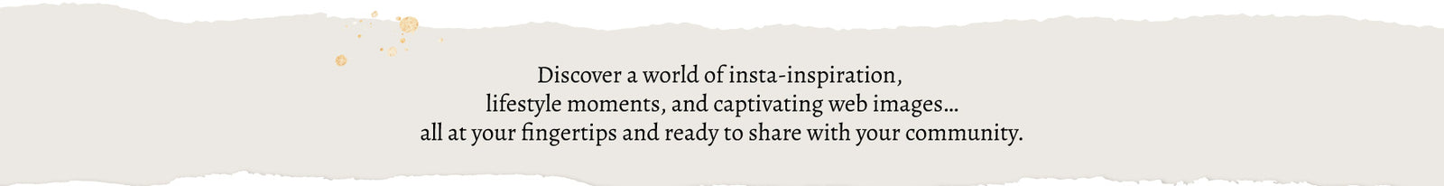 Banner with beige background reads 'Discover a world of insta-inspiration, lifestyle moments, and captivating web images...all at your fingertips and ready to share with your community."