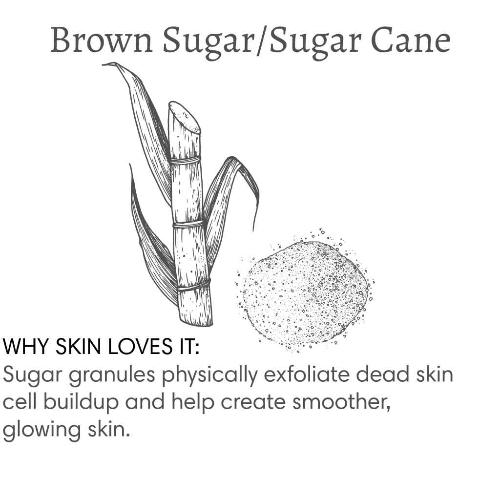 Title reads "Brown Sugar/Sugar Cane", with image of a sugar cane and a pile of sugar followed by text that reads "Why skin loves it:Sugar granules physically exfoliate dead skin cell buildup and help create smoother, glowing skin.".
