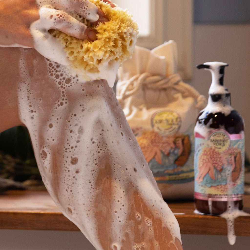 Person lathering Barefoot Venus Coconut Kiss creamy cleansing wash with a sea sponge and a blurred background.